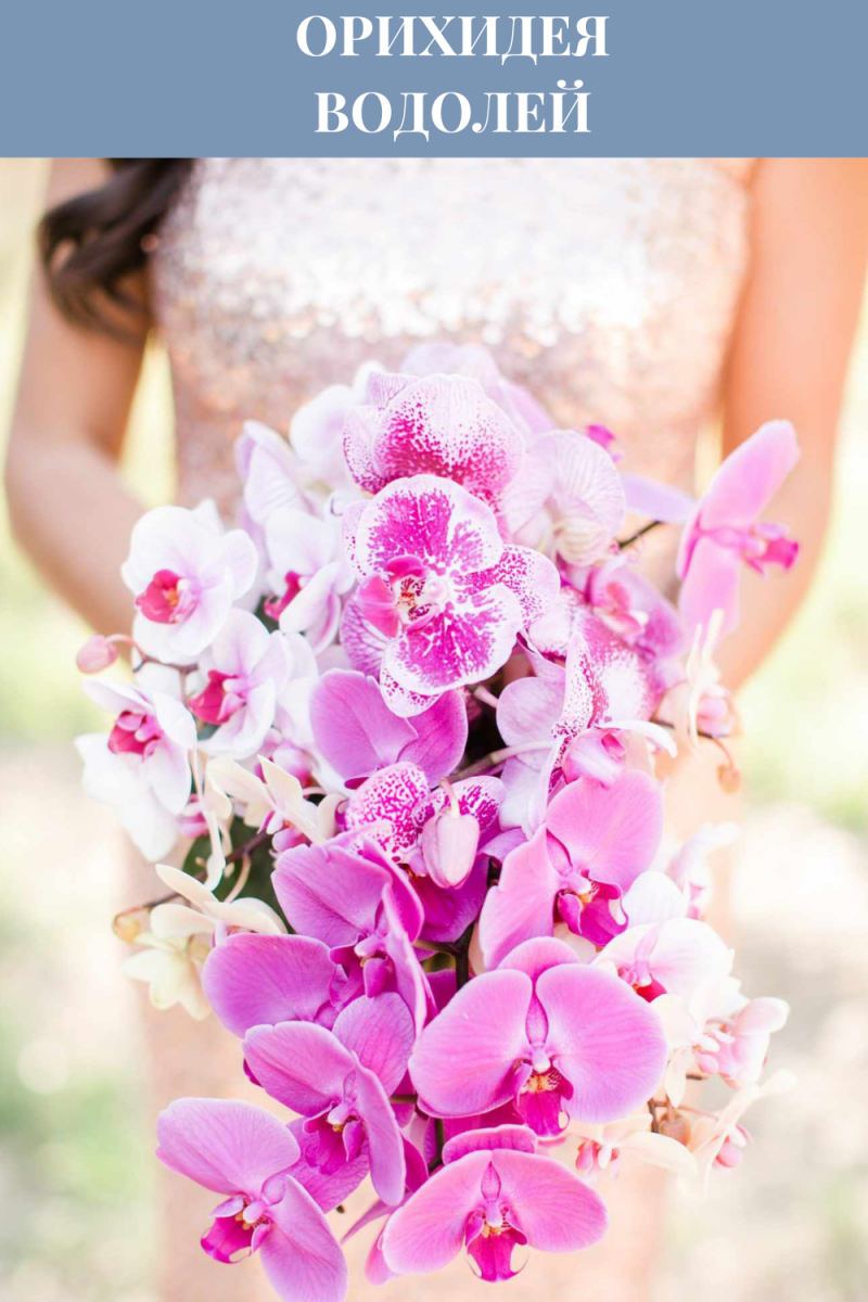 цветы по гороскопу свадьба на Кипре
